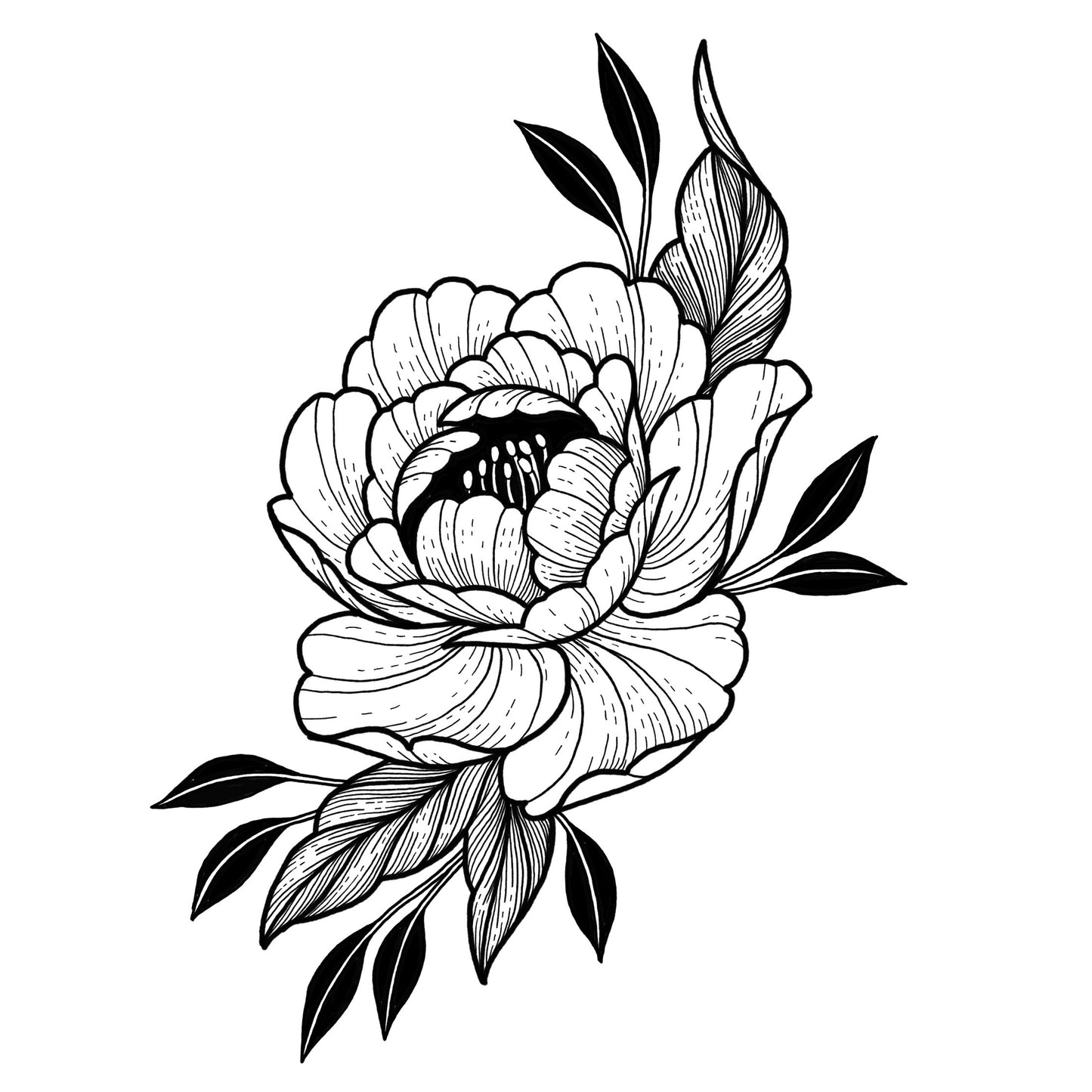 Peony 13