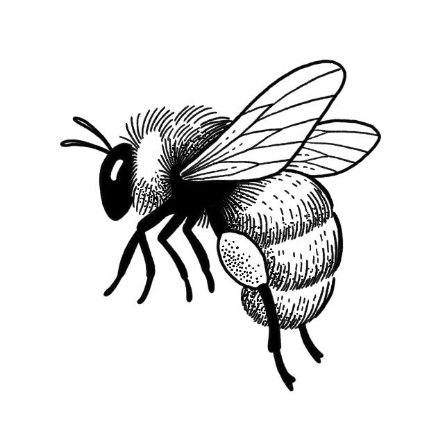 Bumblebee