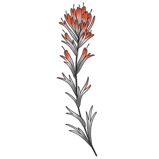 Castilleja 2
