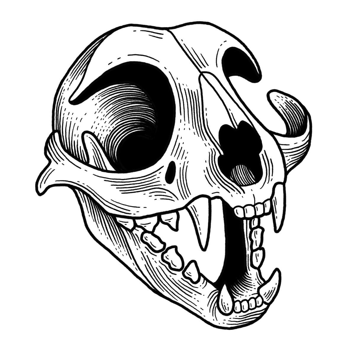 Cat Skull - Blackwork