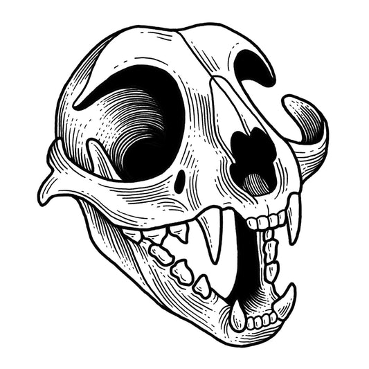 Cat Skull