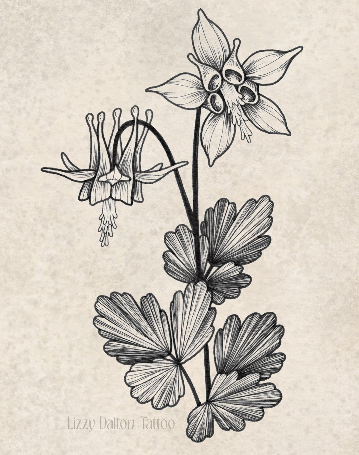 Columbine
