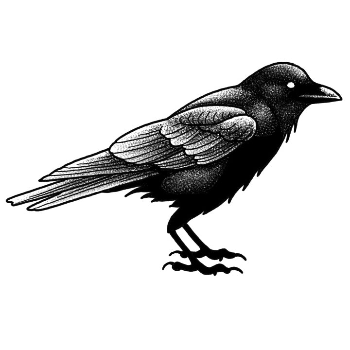Crow