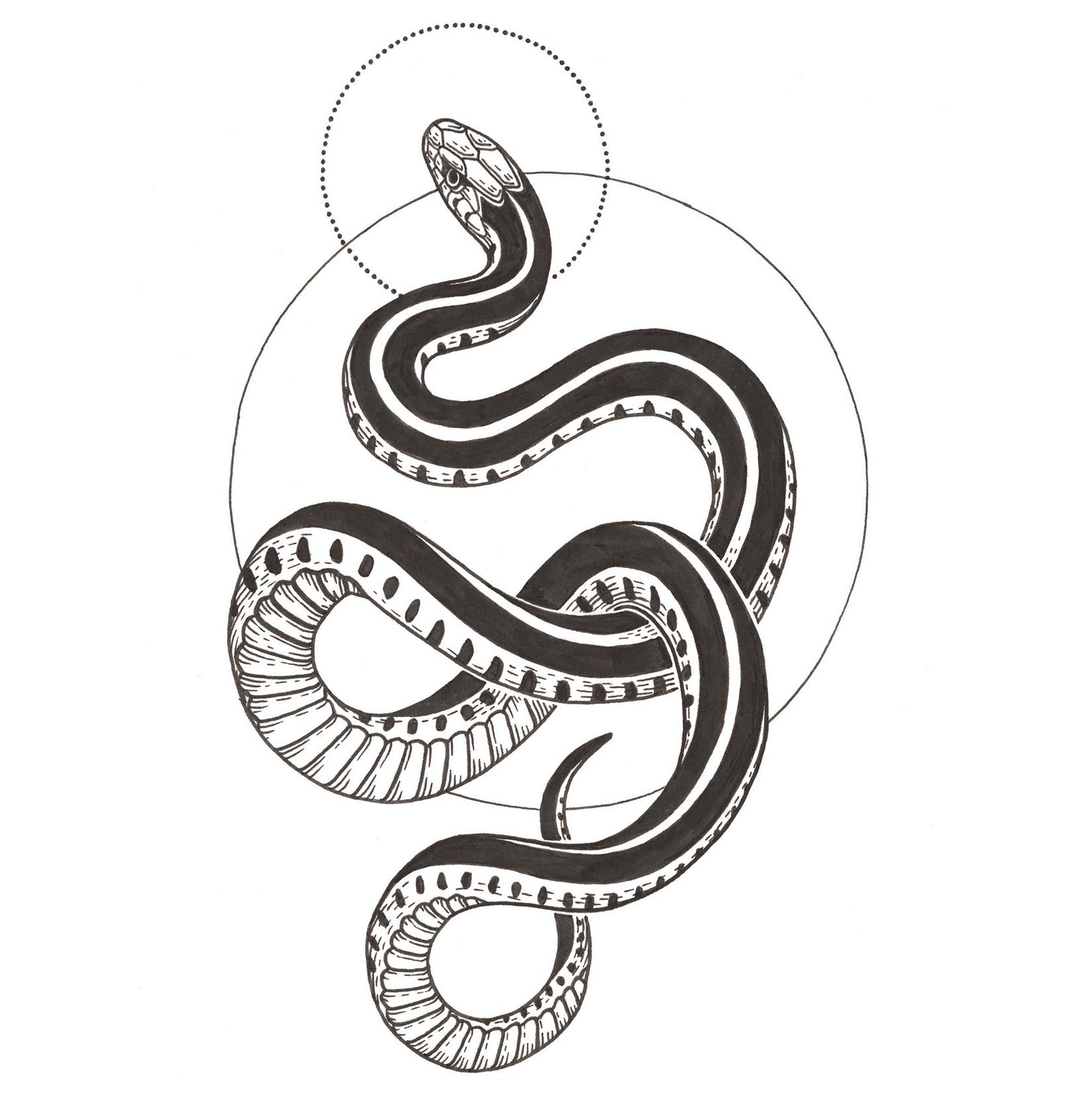 Garter Snake Lizzy Dalton Tattoo Garter Snake Lizzy Dalton Tattoo