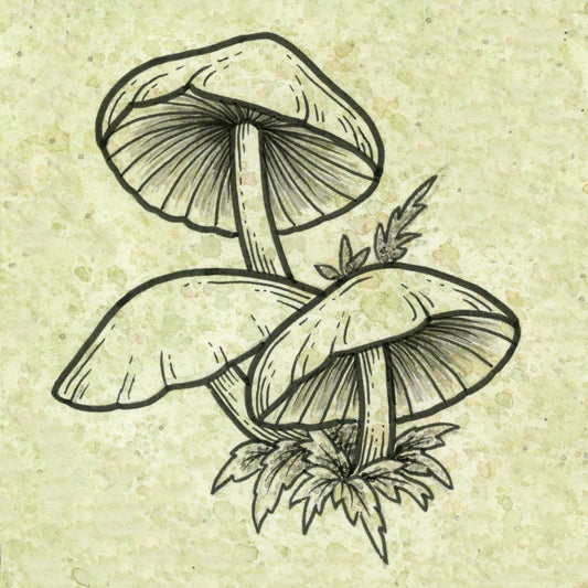 Hypholoma