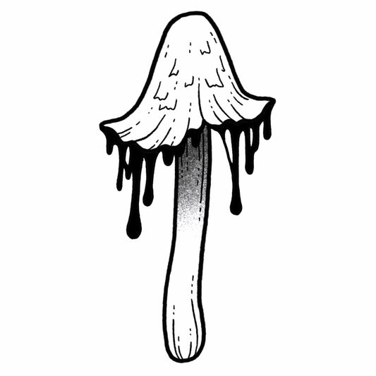Inky Cap