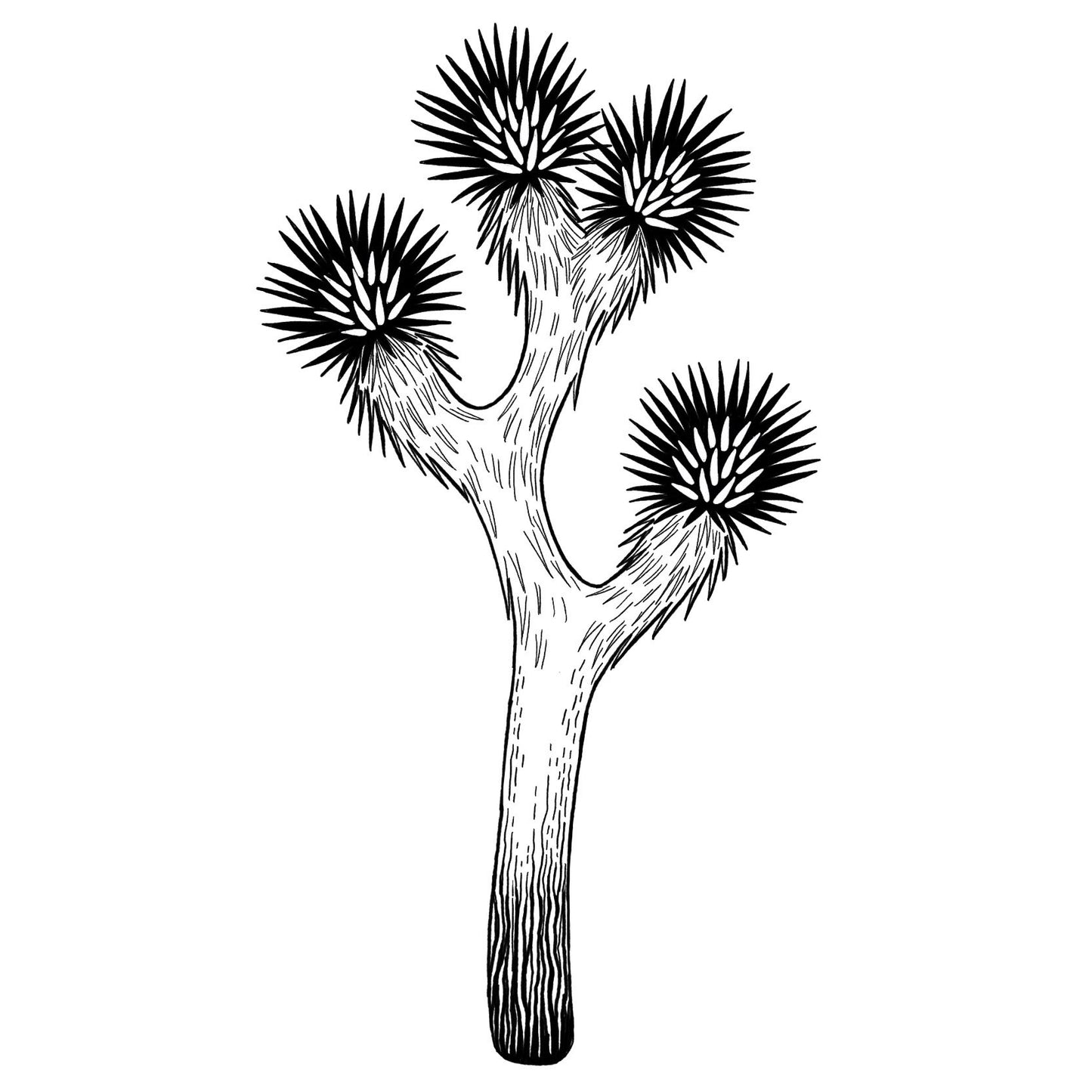 Joshua Tree