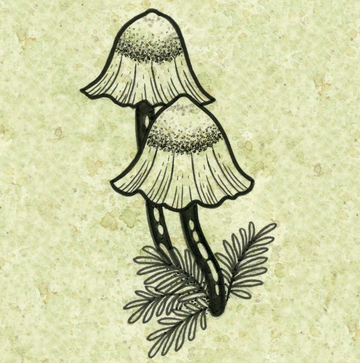 Mycena