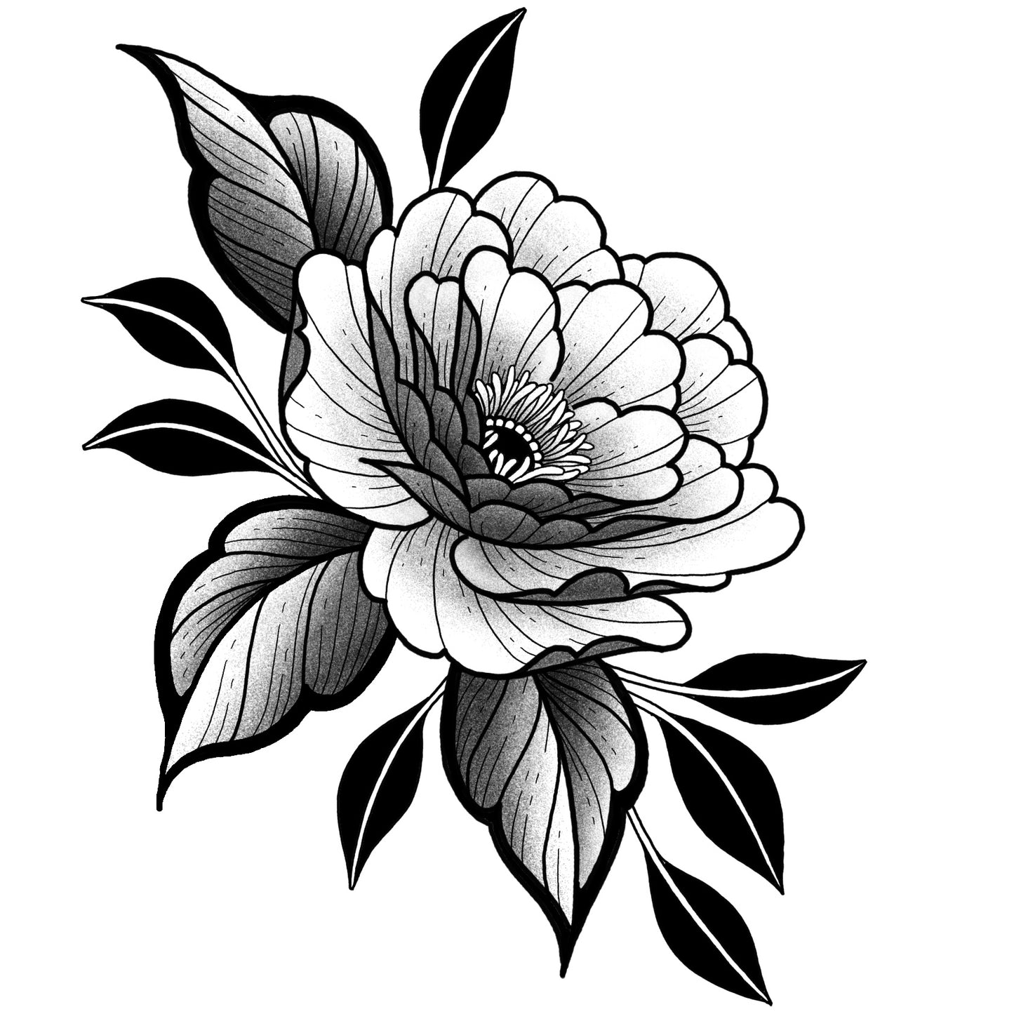 Peony 18 - Black and Grey