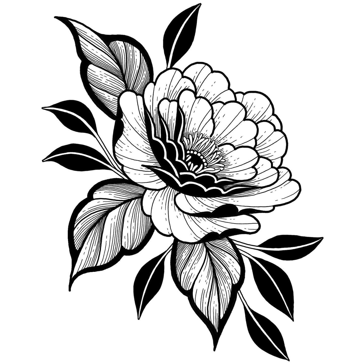 Peony 18 - Blackwork