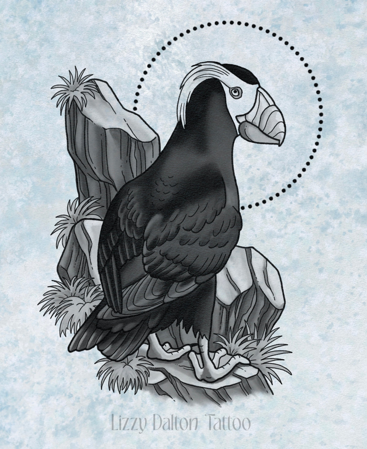 Tufted Puffin - Black and Gray