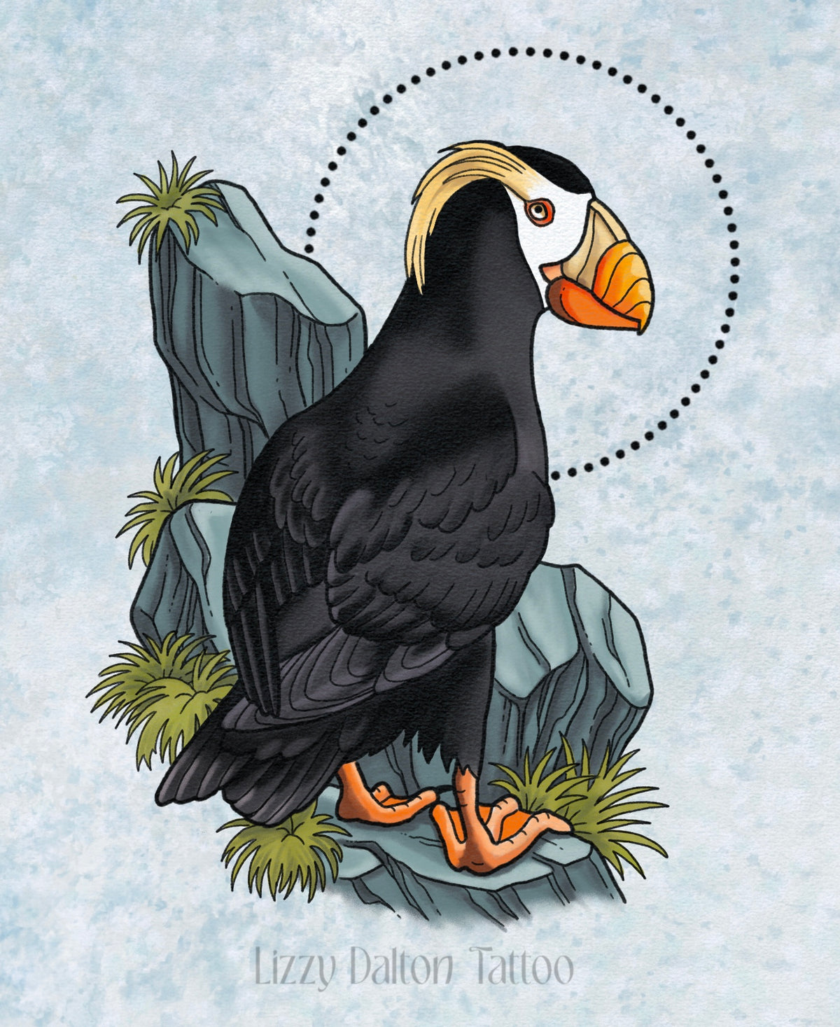 Tufted Puffin -Color