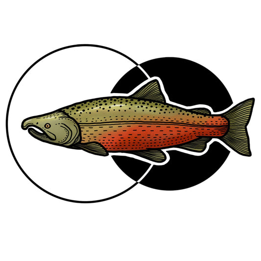 Salmon - Color