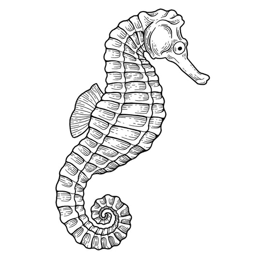 Seahorse