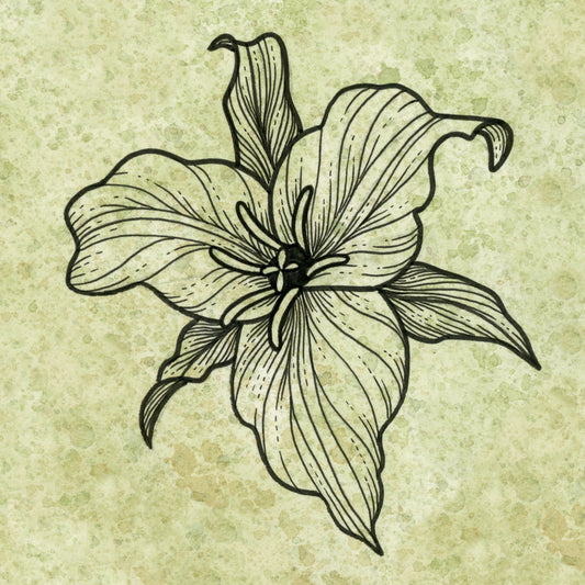 Trillium