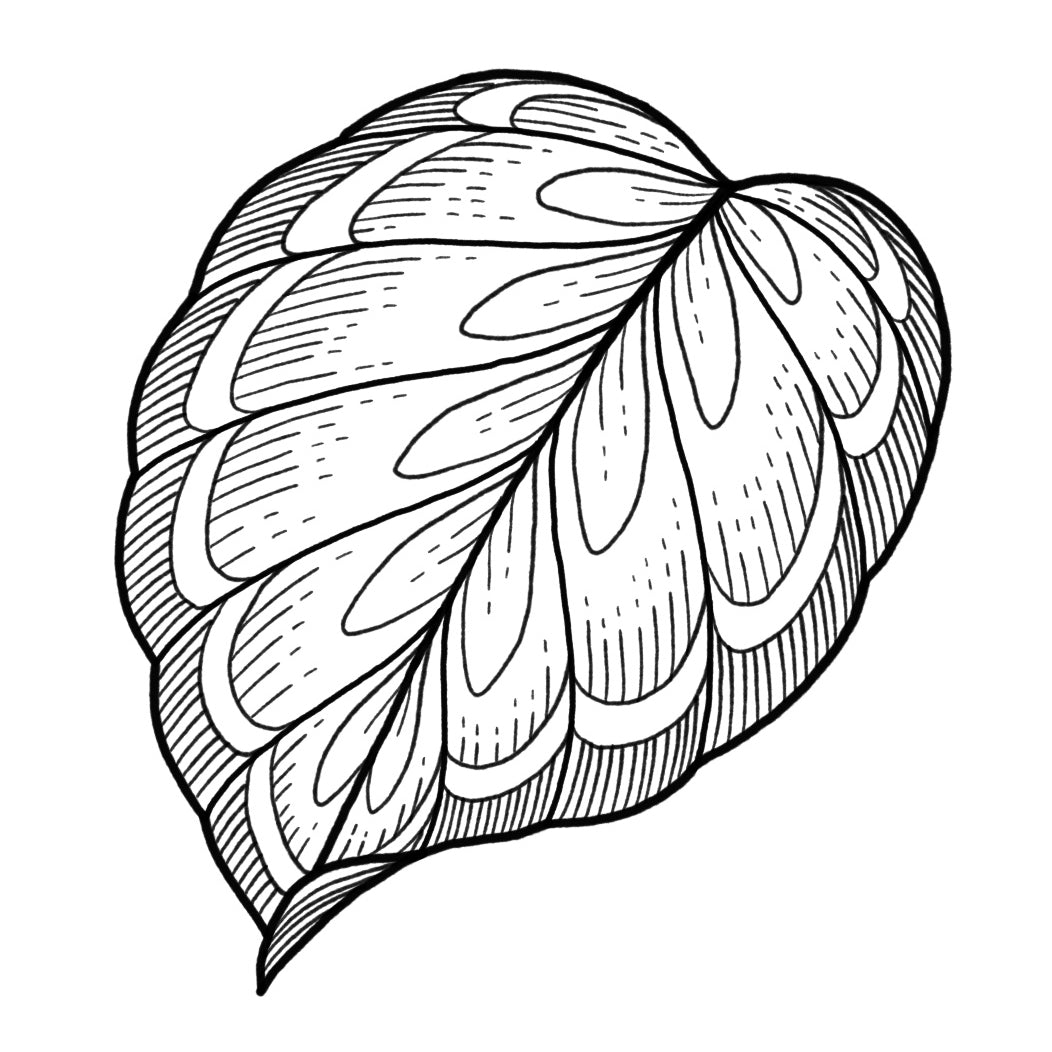 Calathea - Blackwork