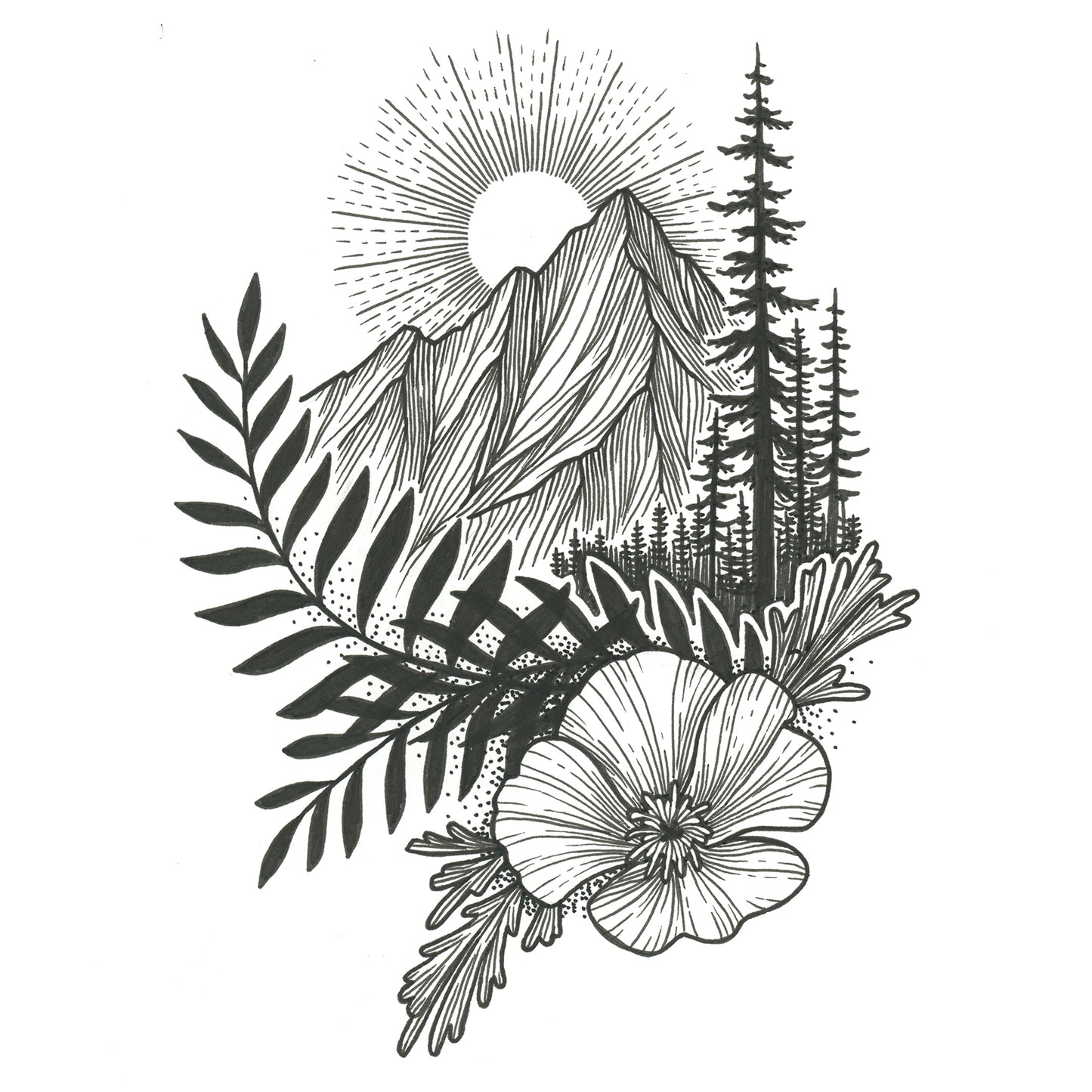Mountain 41