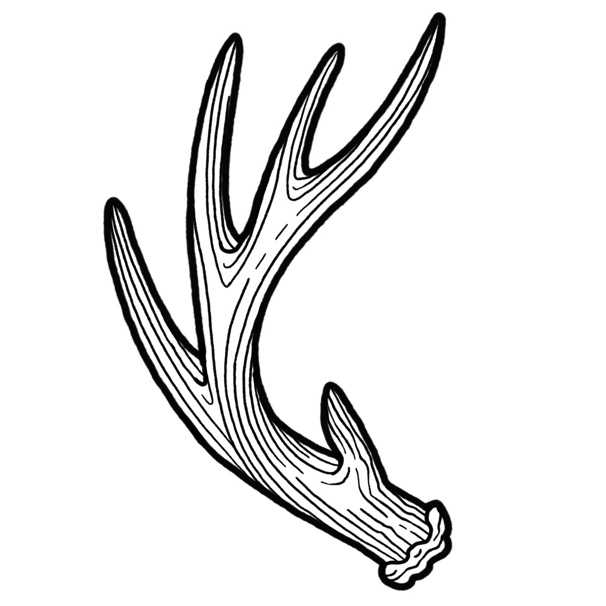 Antler