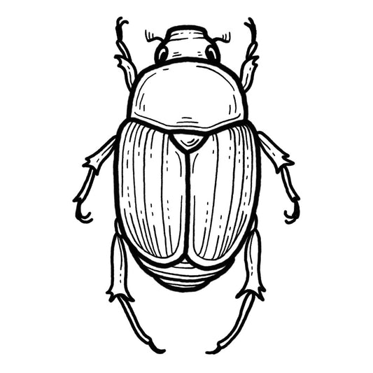 Beetle