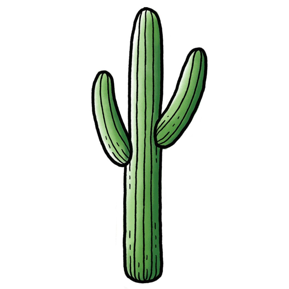 Cactus - Color