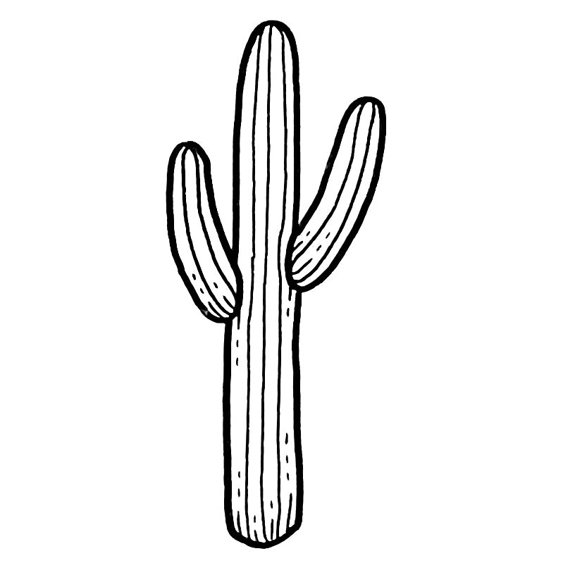 Cactus - Blackwork