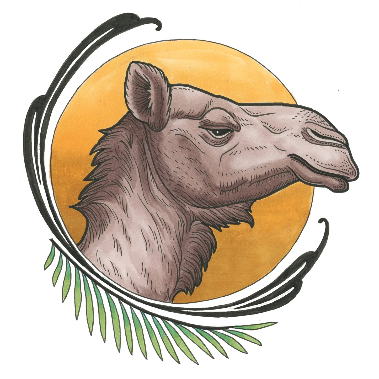 Camel