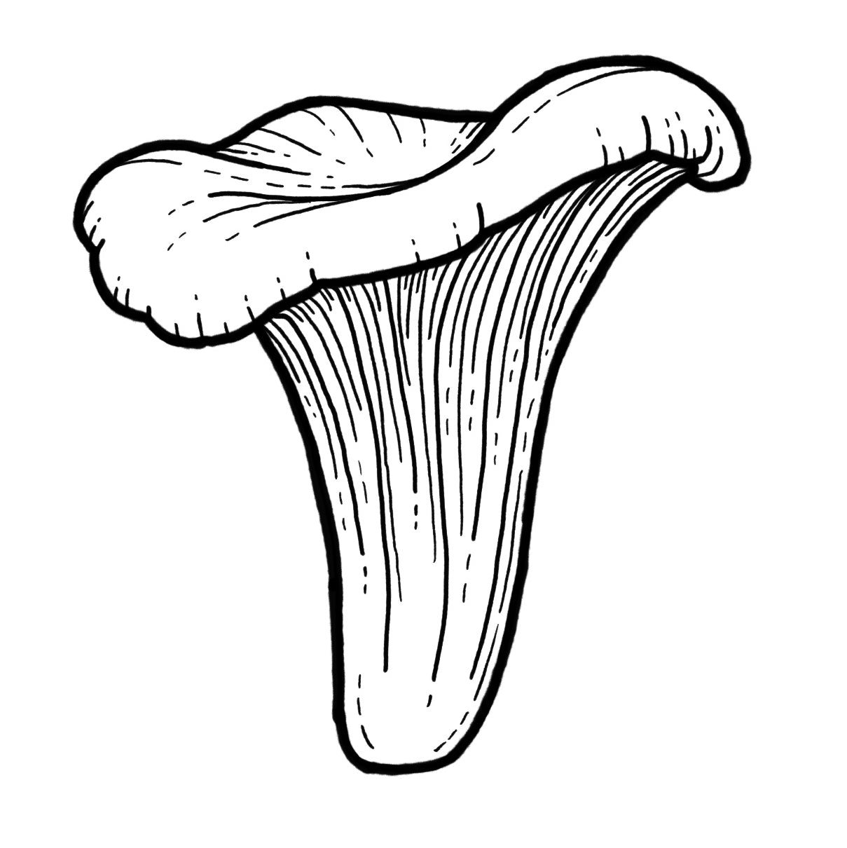 Chanterelle - Blackwork