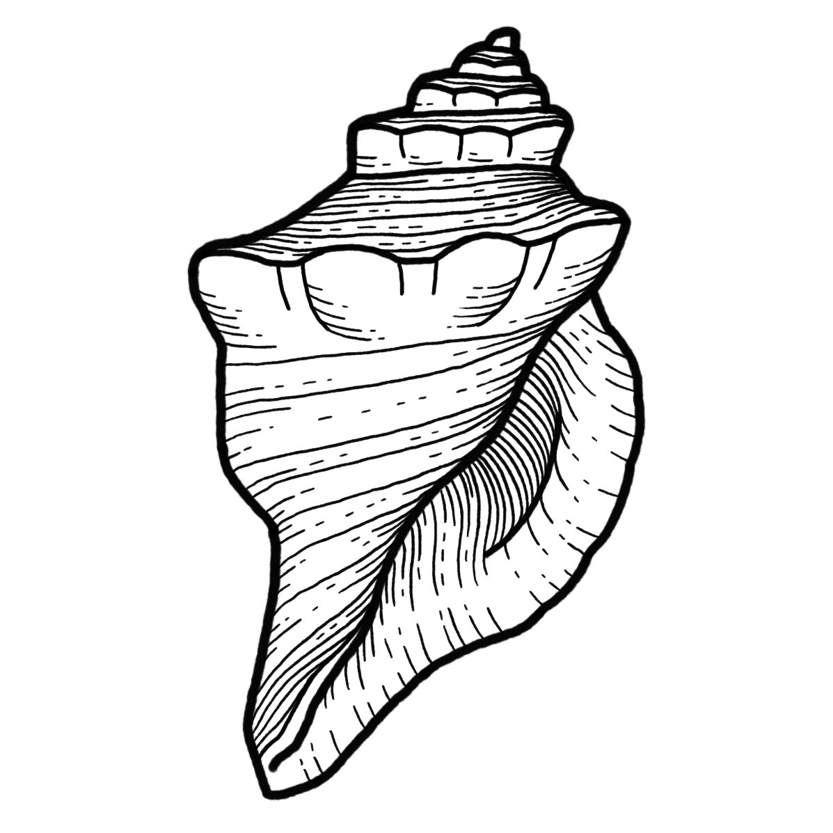 Conch Shell - Blackwork