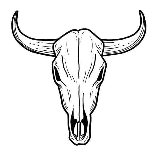 Cow Skull