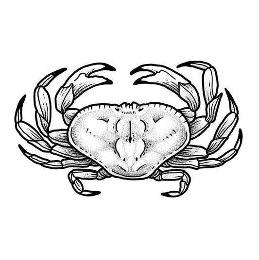 Dungeness Crab - Black and Grey
