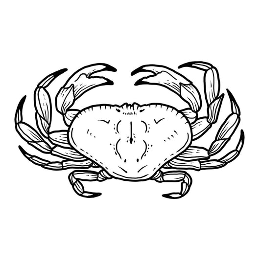 Dungeness Crab - Blackwork