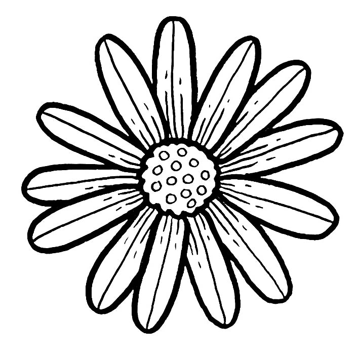 Daisy