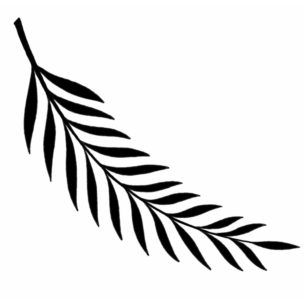 Fern 2 - Blackwork