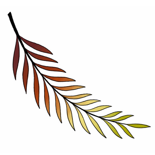 Fern - Color