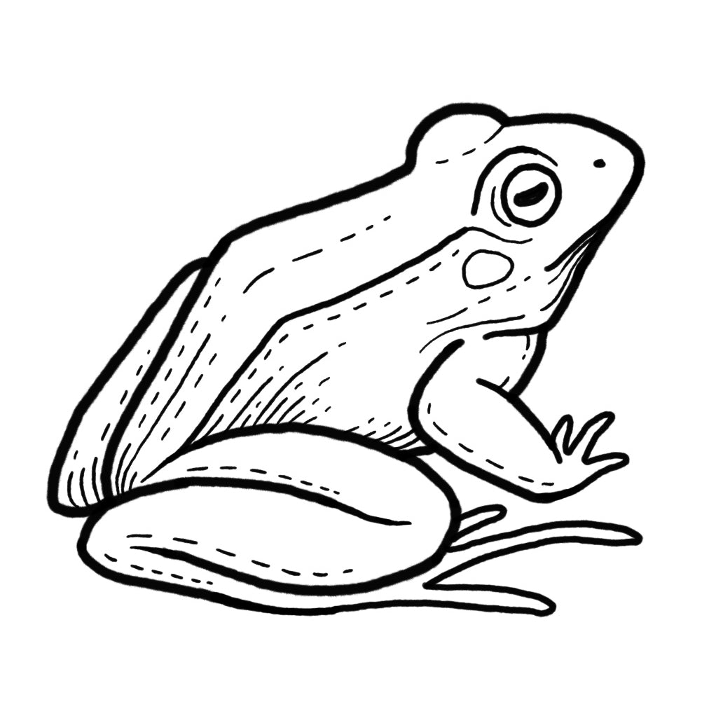Frog