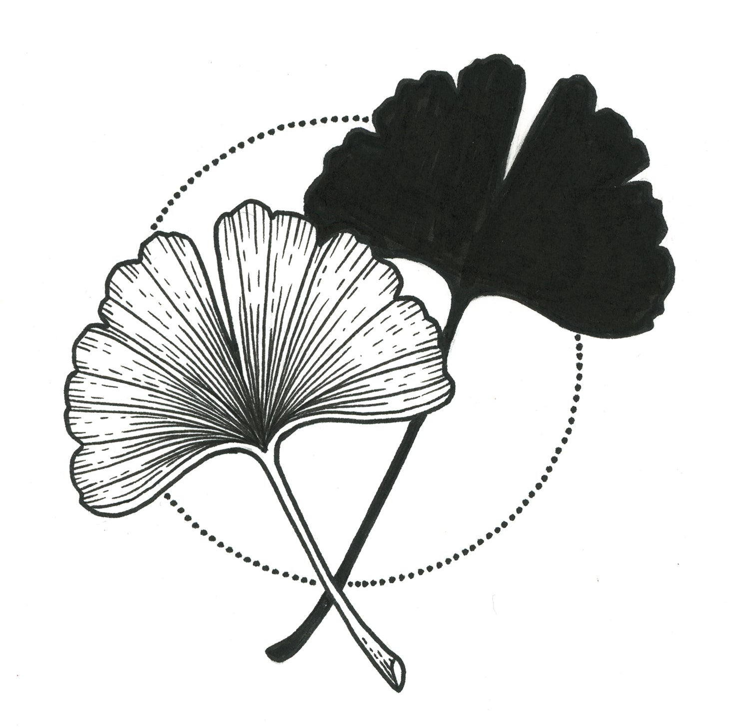 Ginkgo Biloba Leaf Tattoo