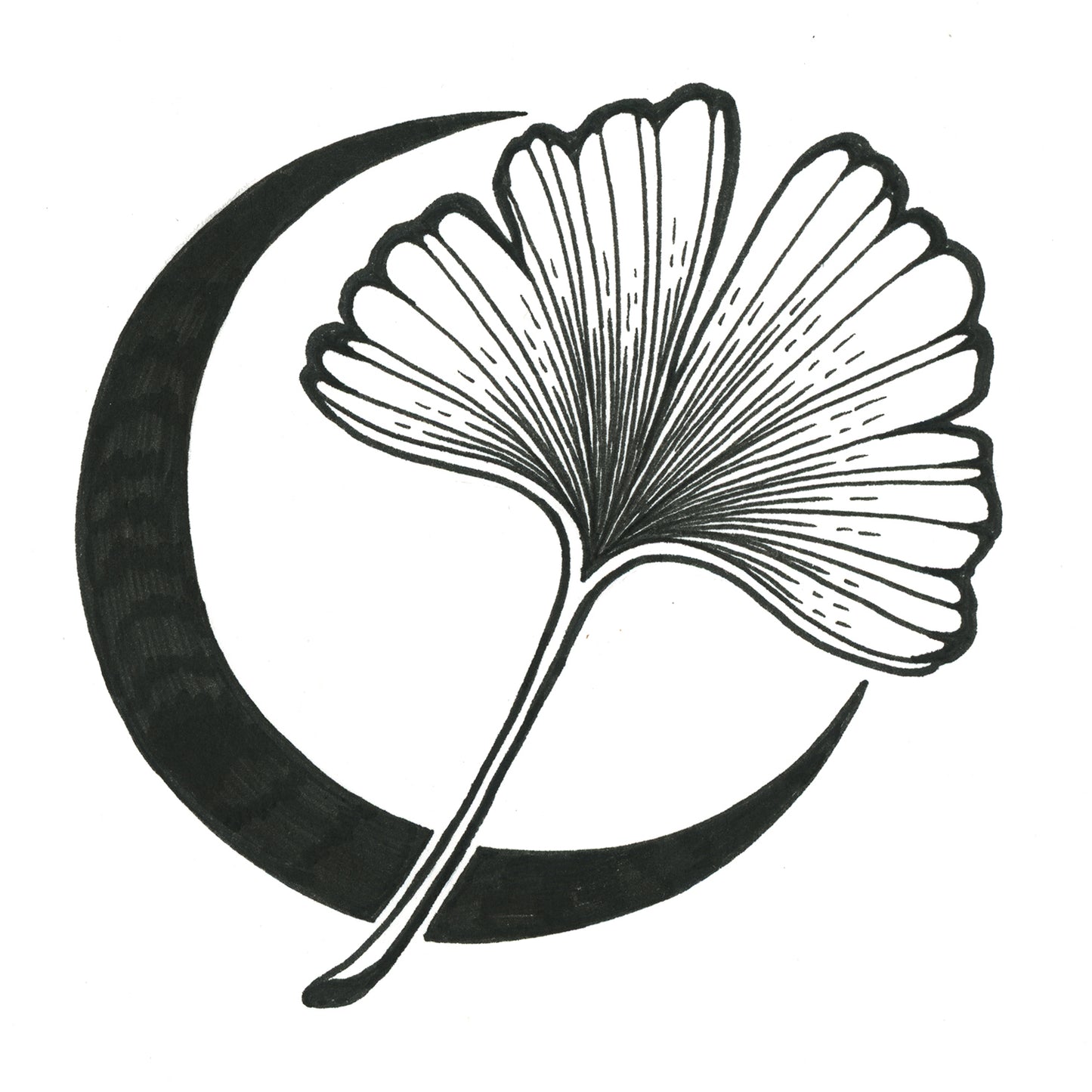 Ginkgo Leaf 4
