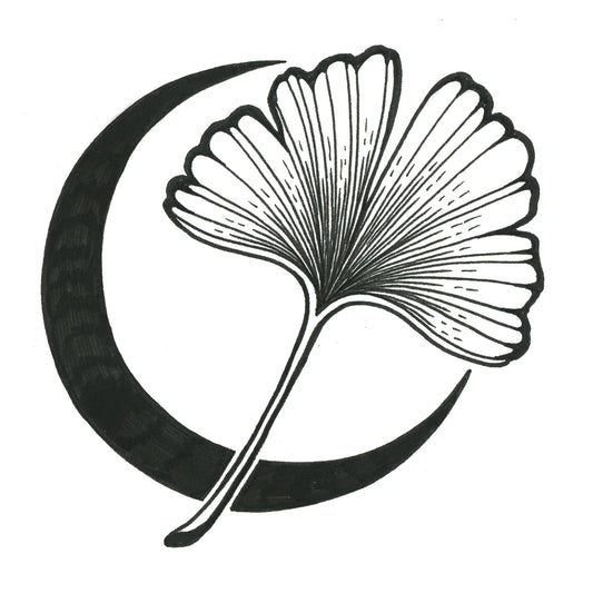 Ginkgo Leaf 4