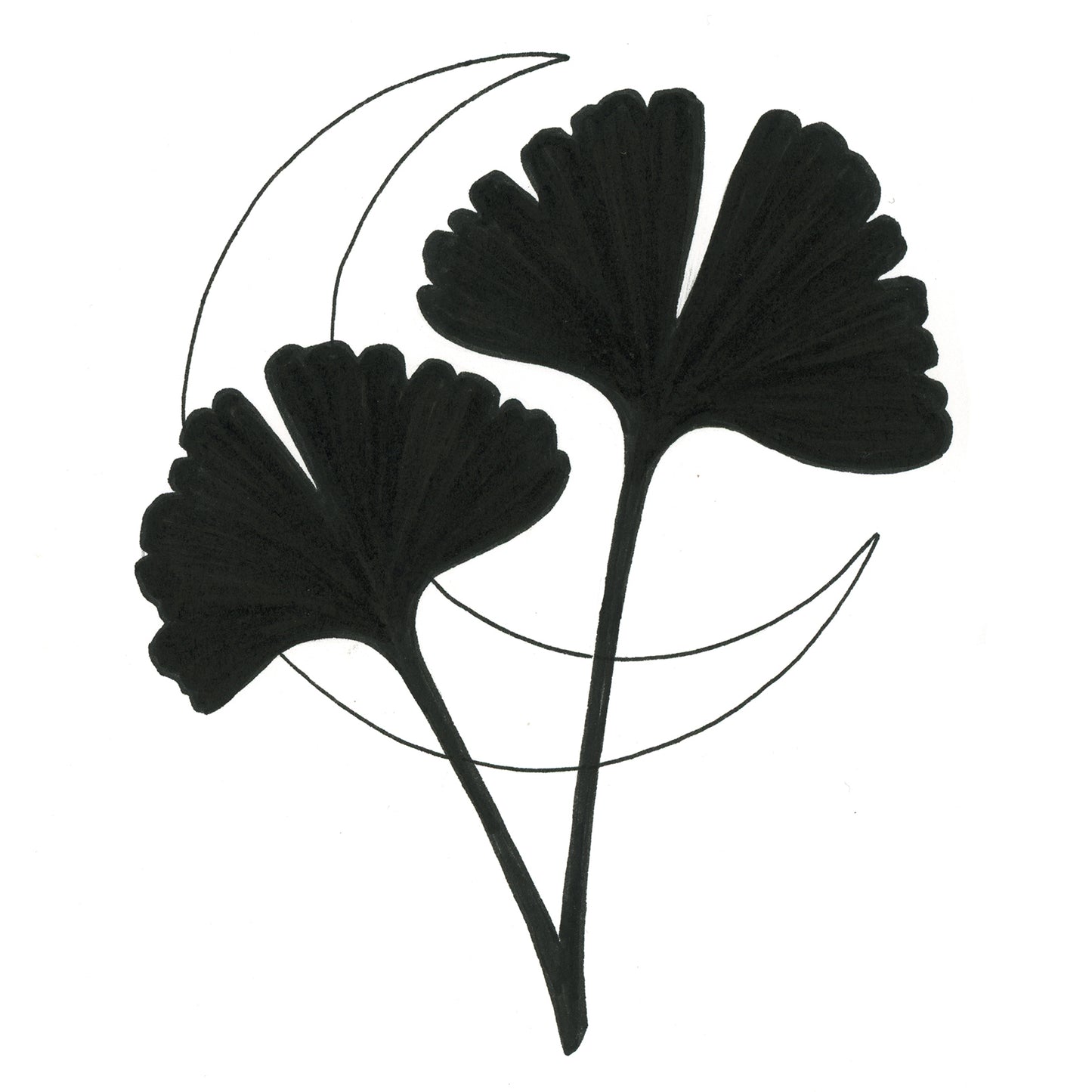 Ginkgo Leaf 5