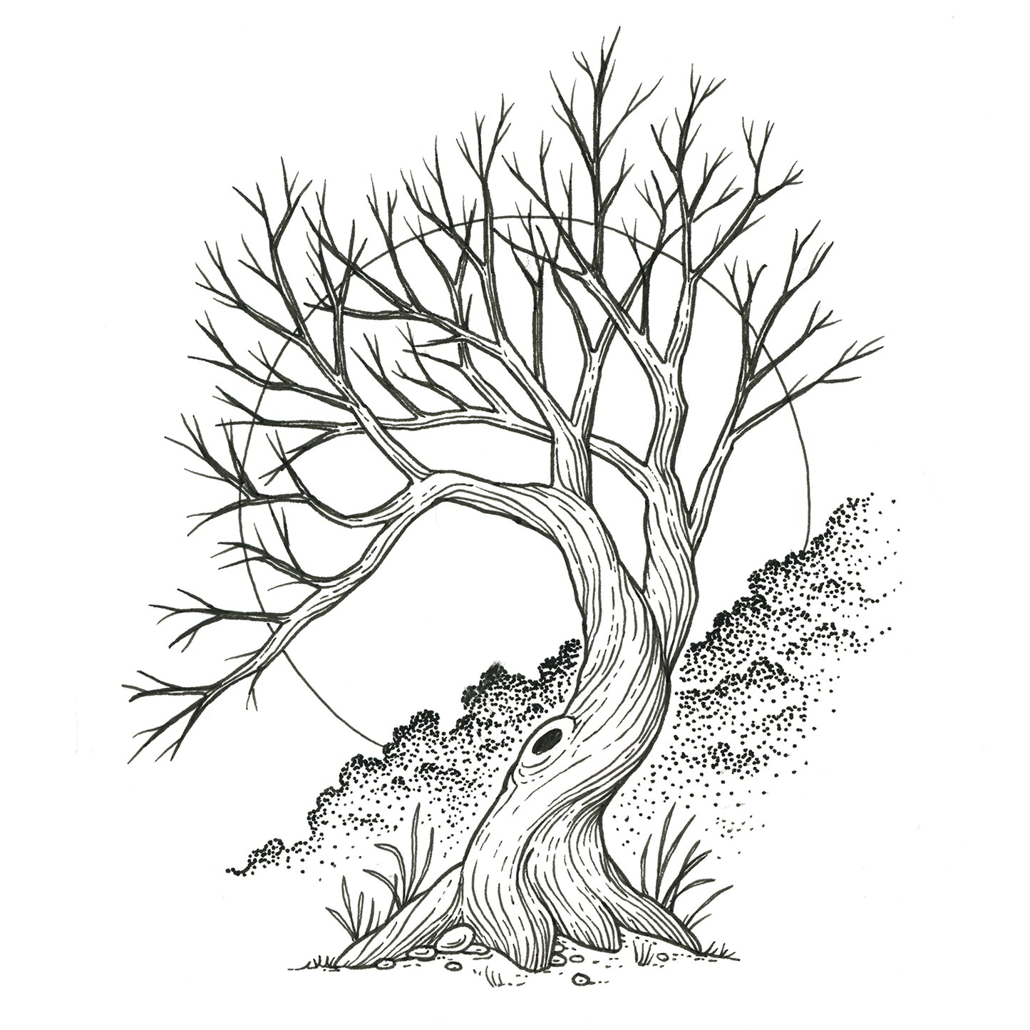 Gnarled Tree