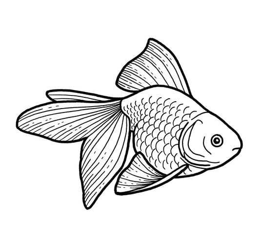 Goldfish - Blackwork