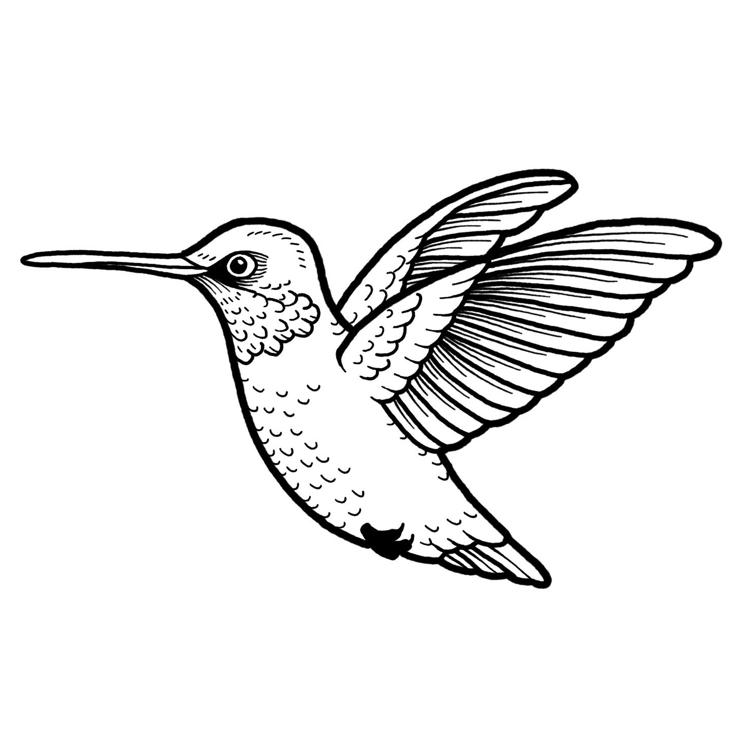 Hummingbird - Blackwork