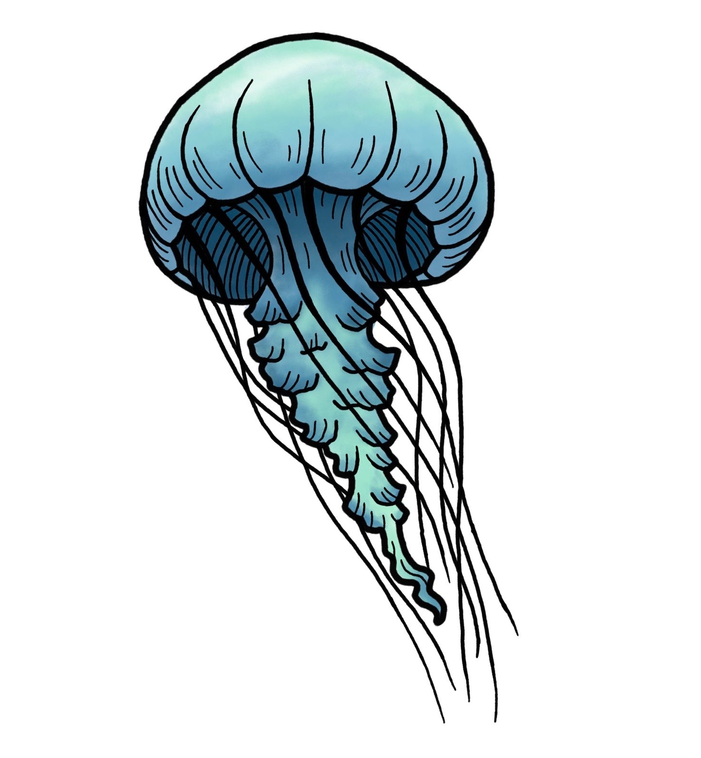 Jellyfish - Blue