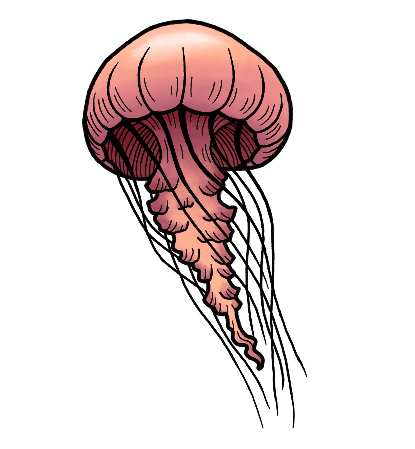 Jellyfish - Red