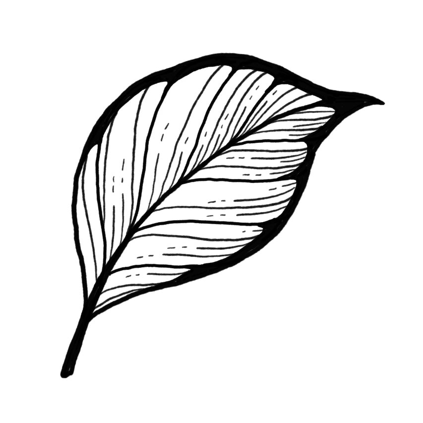 Leaf 4