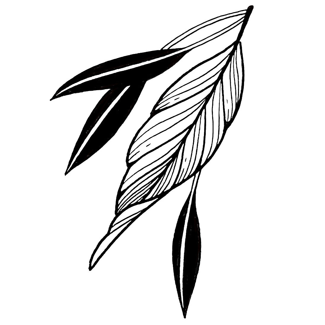 Leaf 7