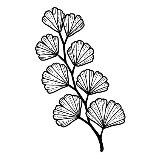 Maidenhair Fern