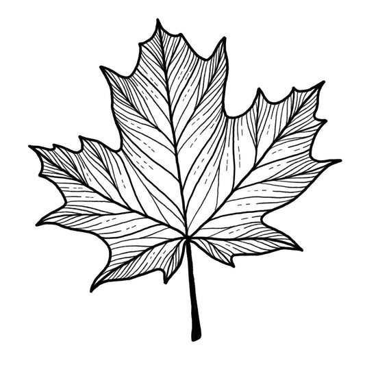 Maple Leaf