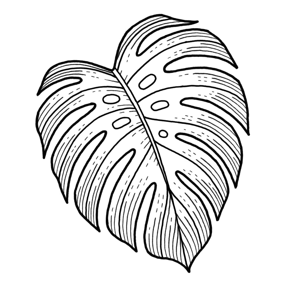 Monstera - Linework