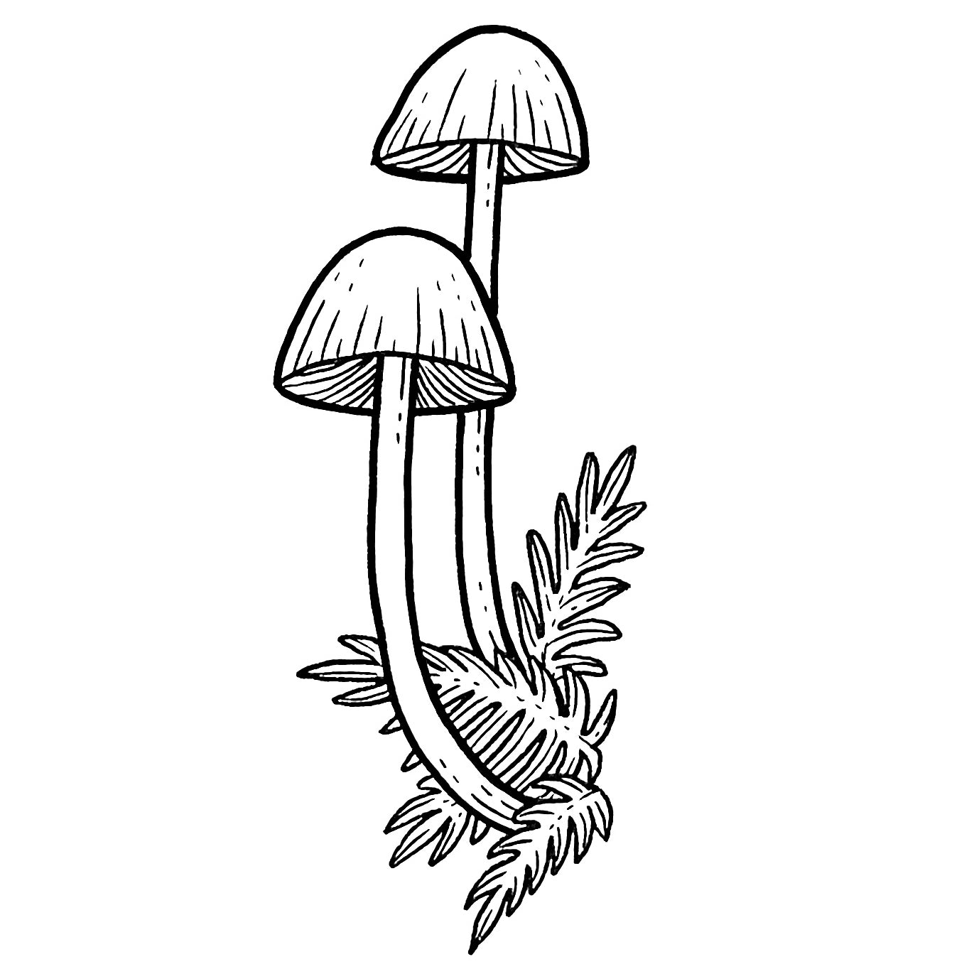 Mushroom 4